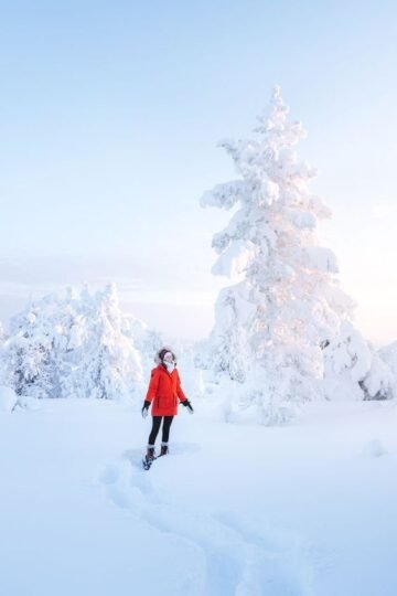 жизнь с нового листа