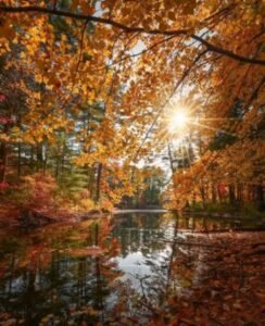 fb_img_17614182154129783