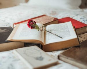 red-rose-inside-open-book
